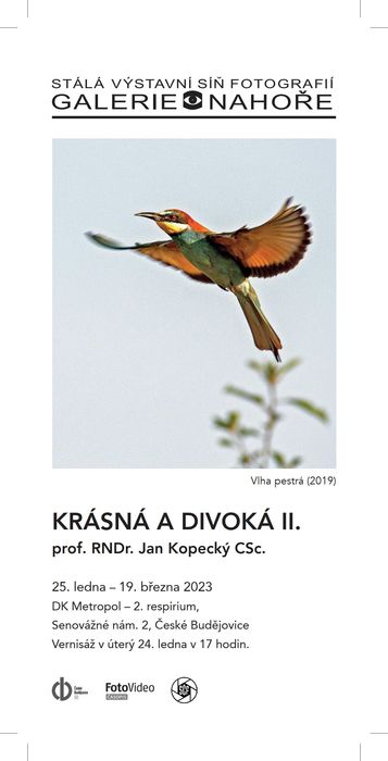 Přečtete si více ze článku Jan Kopecký – Krásná a divoká II.